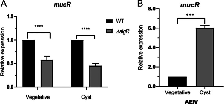 FIG 5