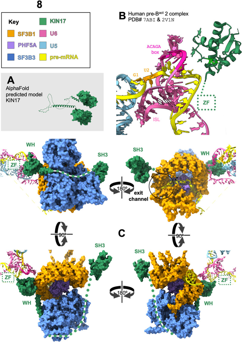 Fig 8