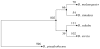 graphic file with name inl-1.gif