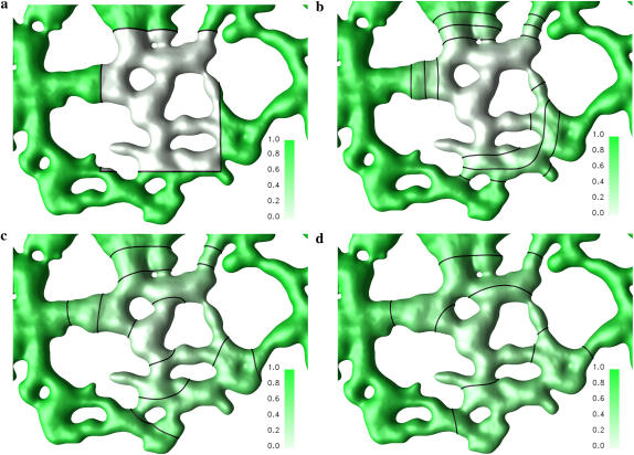 FIGURE 4