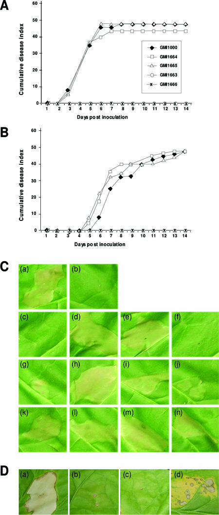 FIG. 6.