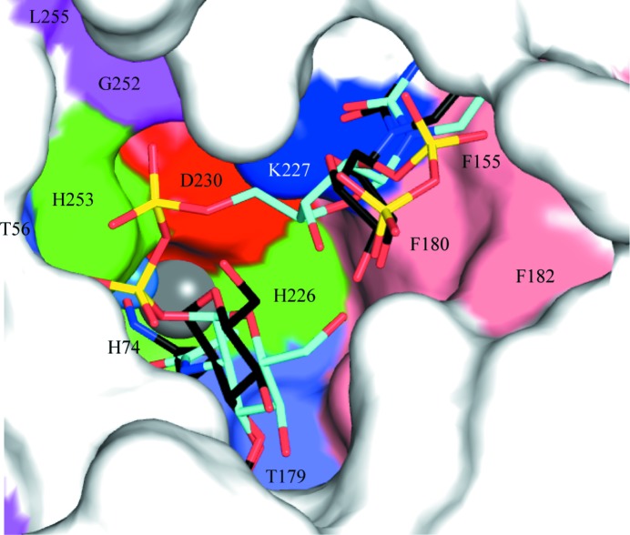 Figure 4