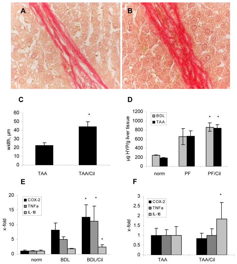 Fig.2