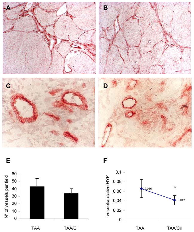 Fig.4