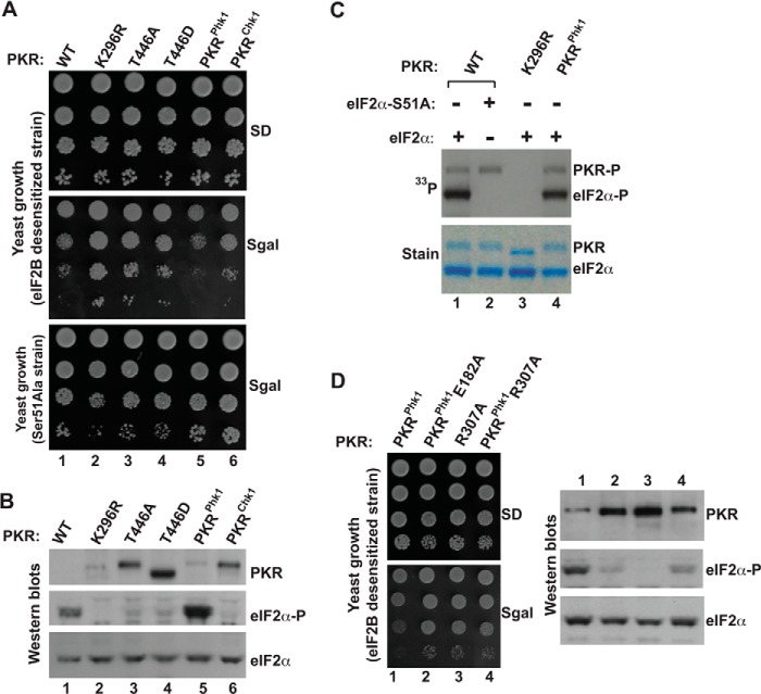 FIGURE 4.