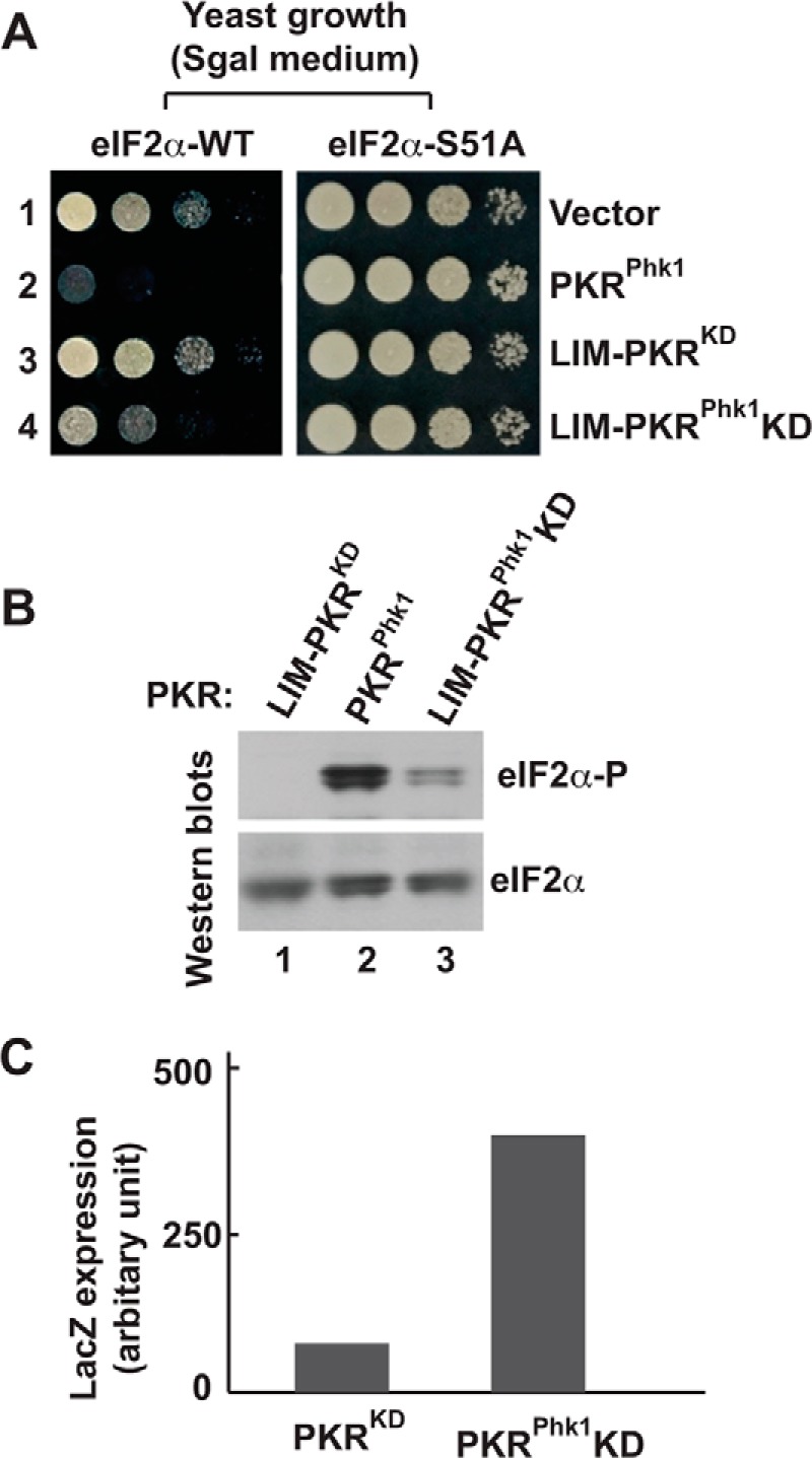 FIGURE 7.