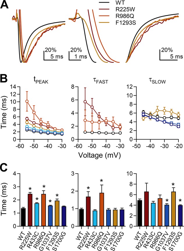 Fig. 4.