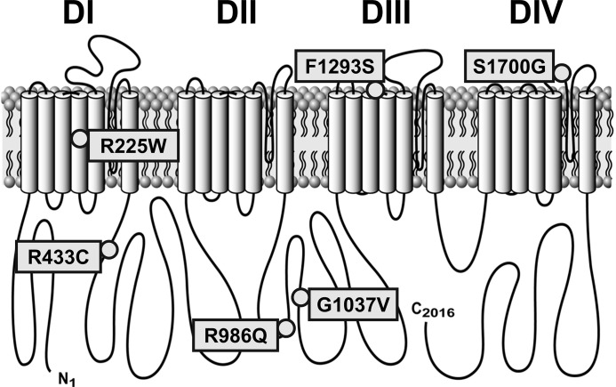 Fig. 1.