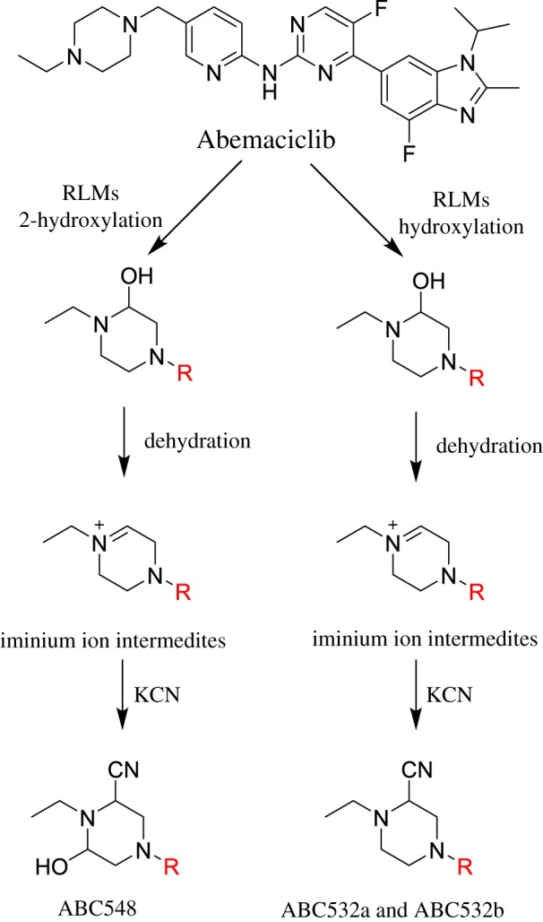 Scheme 10.