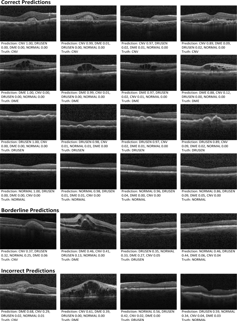 Fig. 9.