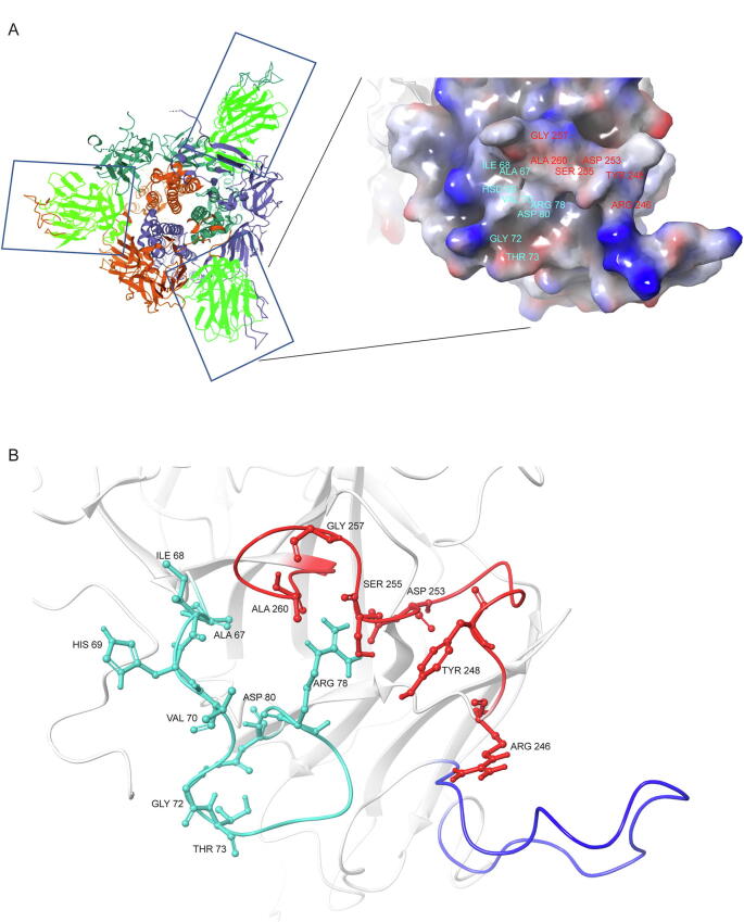 Fig. 2