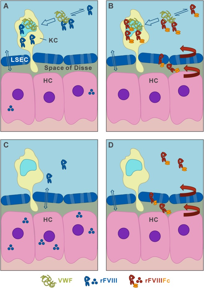 Fig 8