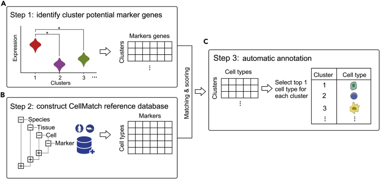 Figure 1