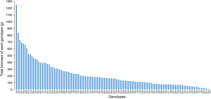 Figure 5