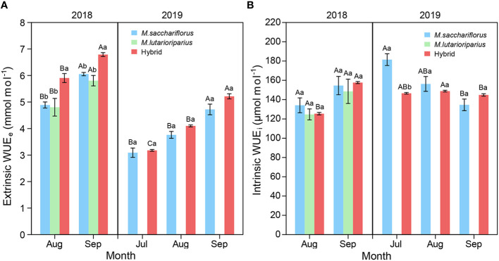 Figure 4