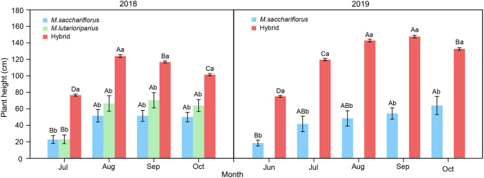 Figure 2