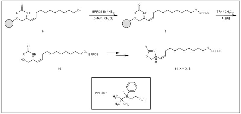 Scheme 2