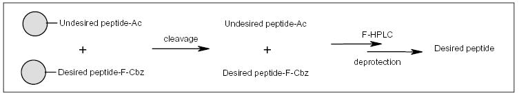 Scheme 18