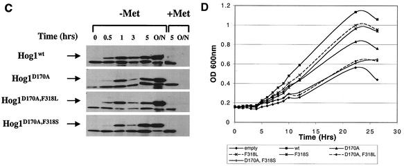 FIG.3.