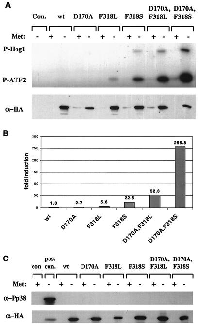 FIG. 5.