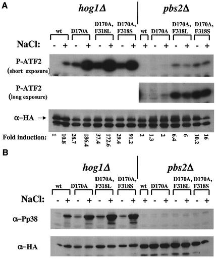 FIG. 8.