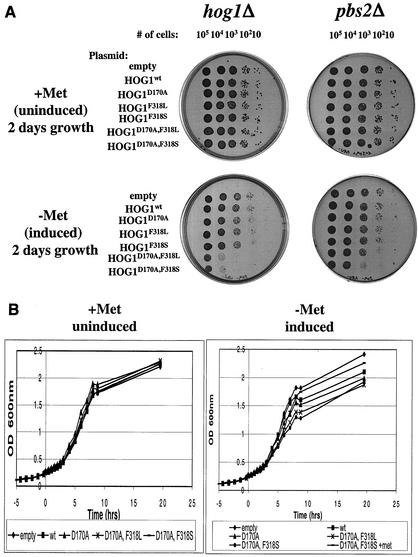 FIG.3.