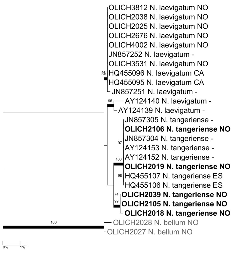 Figure 11.