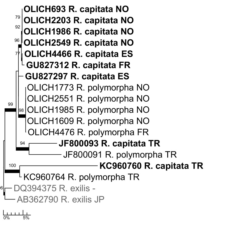 Figure 14.