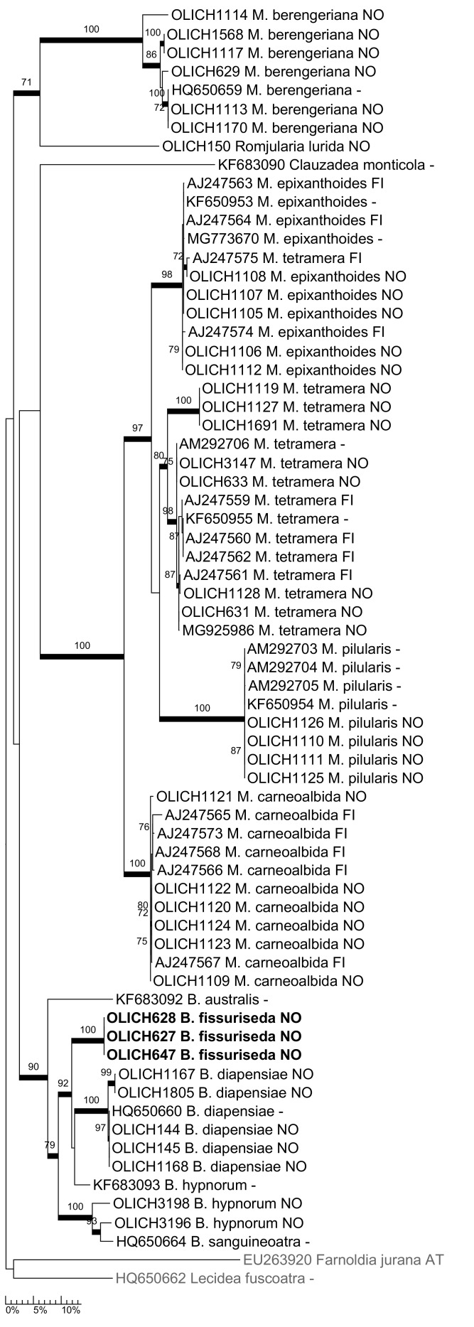 Figure 7.