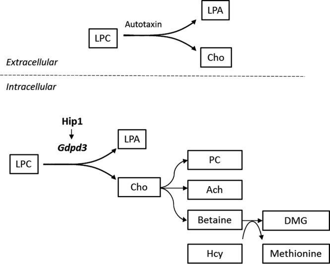 FIG 6