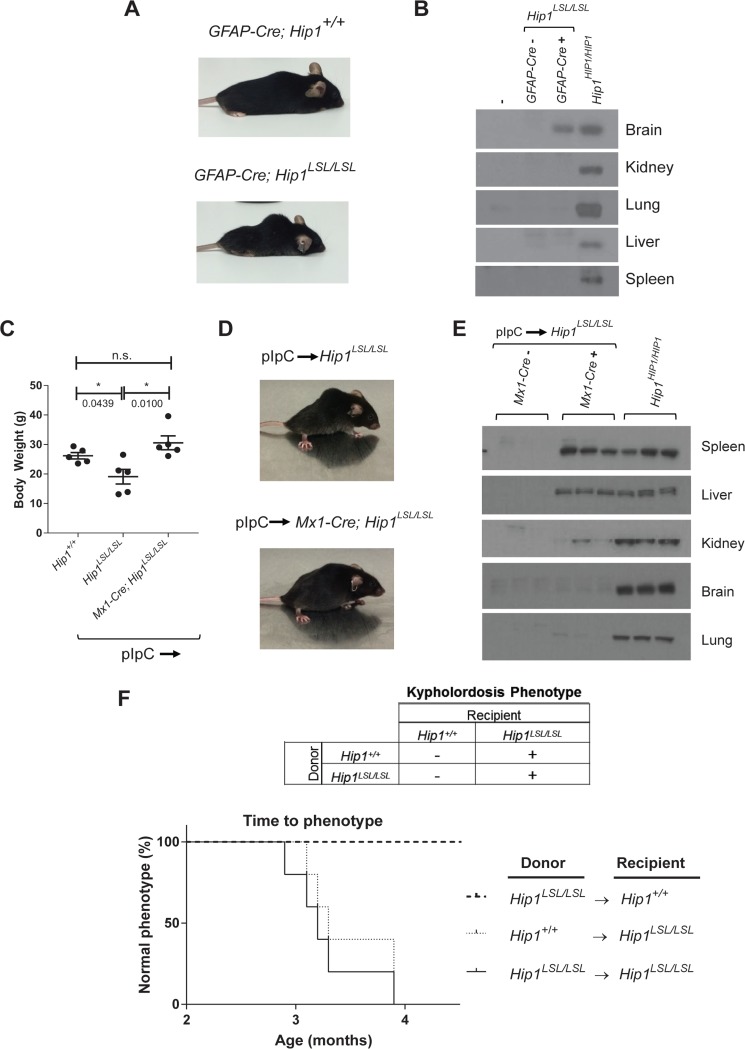 FIG 2