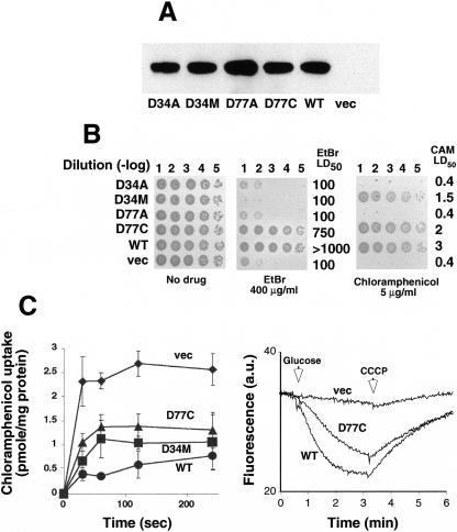 FIG. 3.