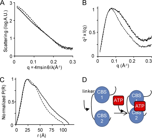 FIGURE 1.