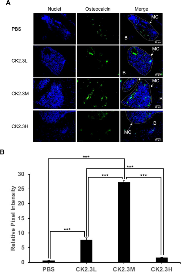 Figure 6: