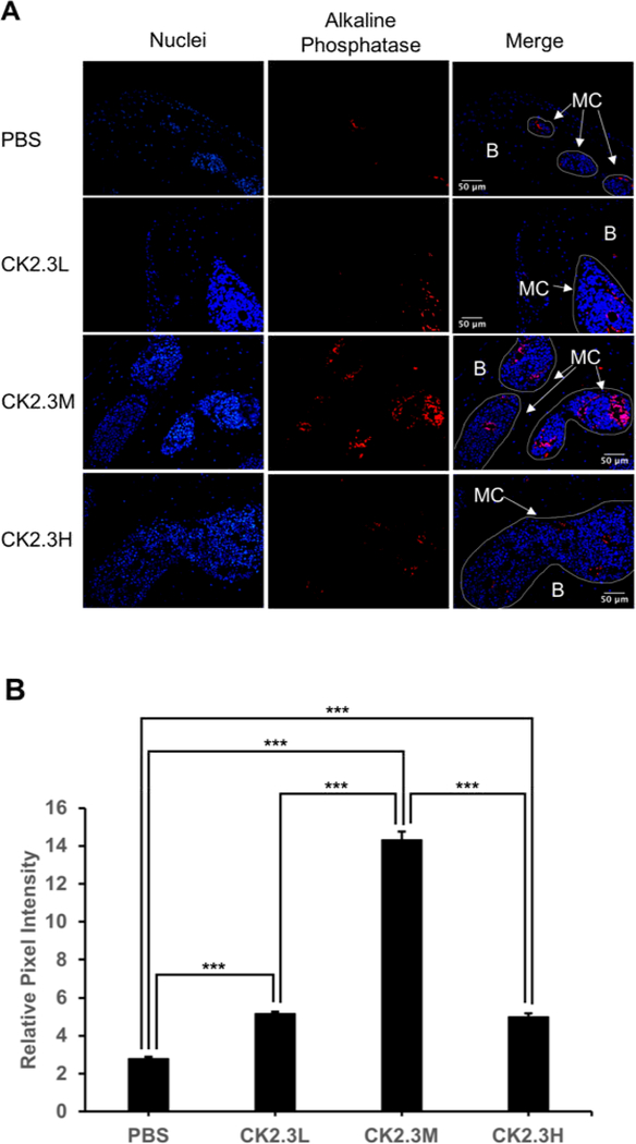 Figure 7: