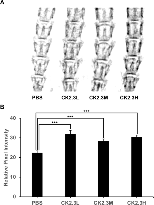 Figure 3: