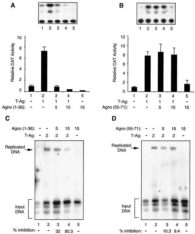 FIG. 7