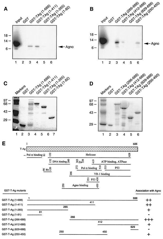 FIG. 6