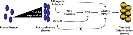 FIGURE 9.