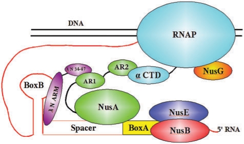 Figure 6.