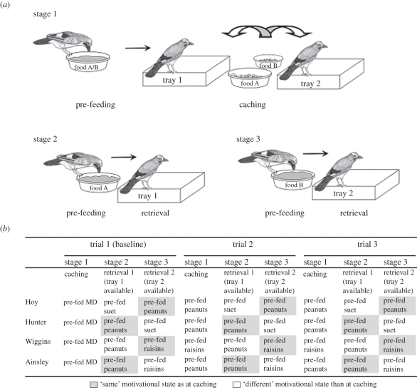 Figure 1.