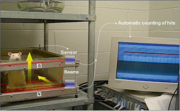 Fig. 2