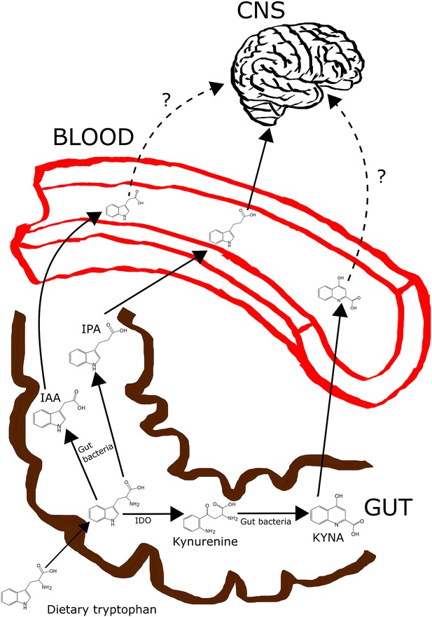 Fig. 2