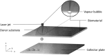 <b>Figure 3.</b>