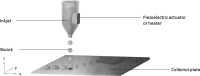 <b>Figure 2.</b>