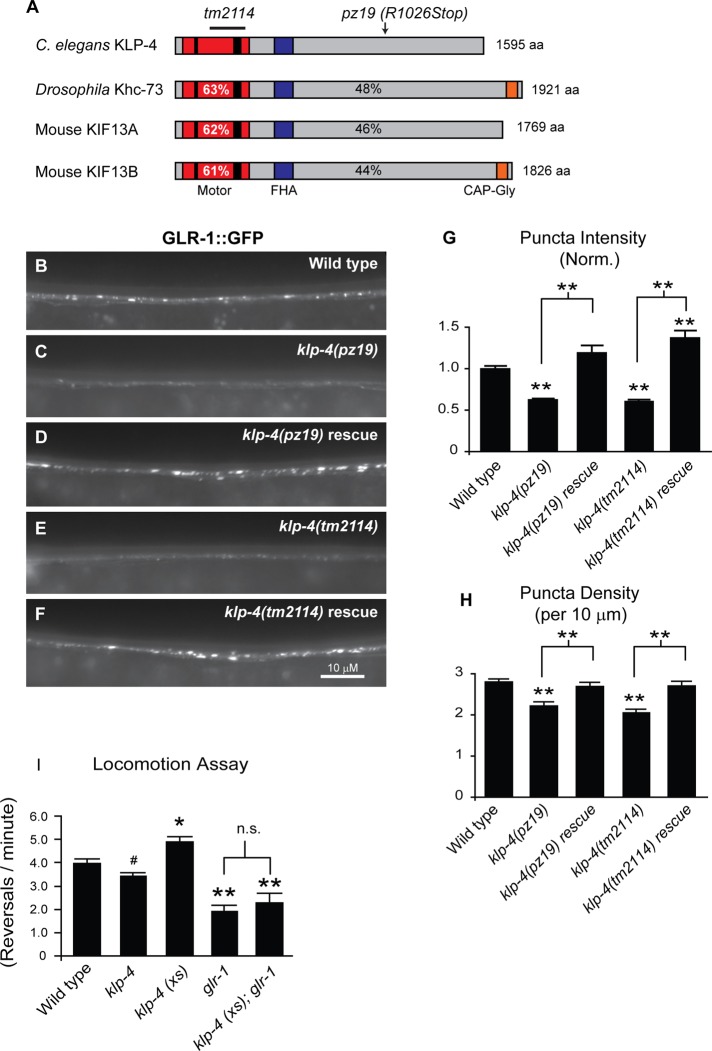 FIGURE 1: