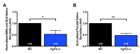 Fig. (4)
