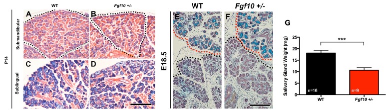 Fig. (1)