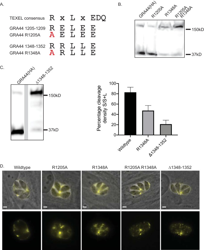 FIG 2