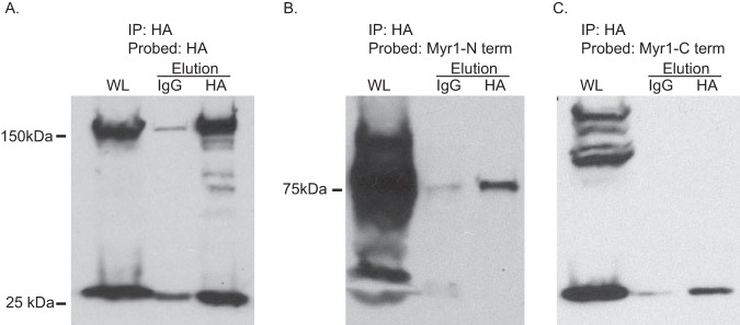 FIG 6